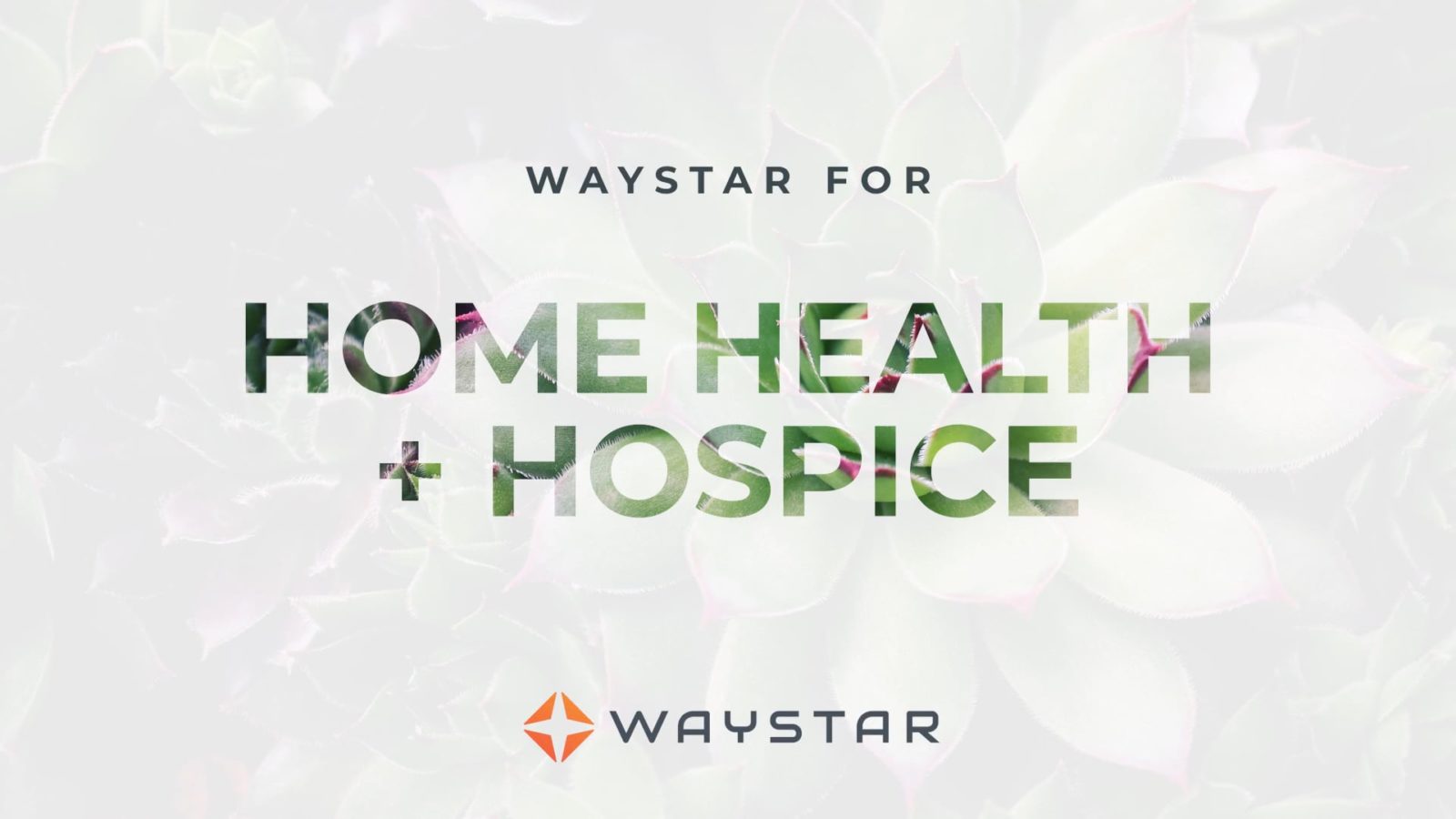 Waystar家庭健康+临终关怀